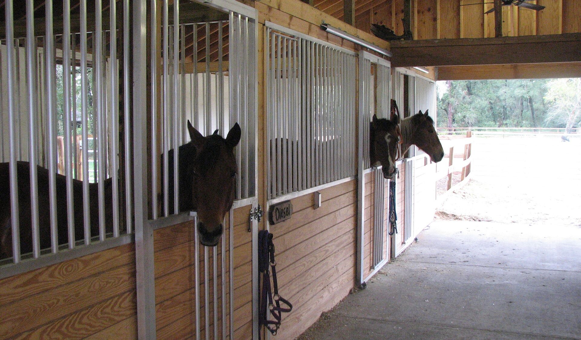 Armour Horse Stalls | The Best Horse Stall Gates for Different Breeds and  Sizes of Horses - Armour Horse Stalls, image size:1920x1125